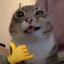 Steam avatar